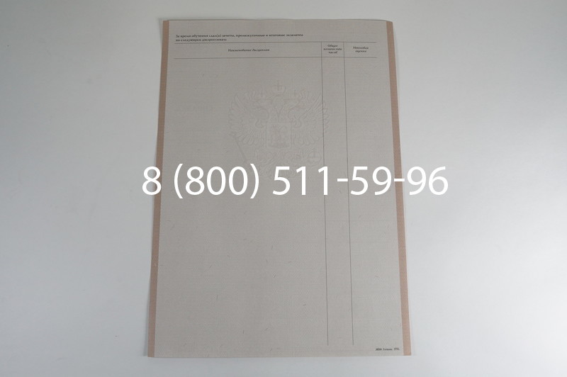 Заказать Академическая справка 1996-2009 года в Уфе