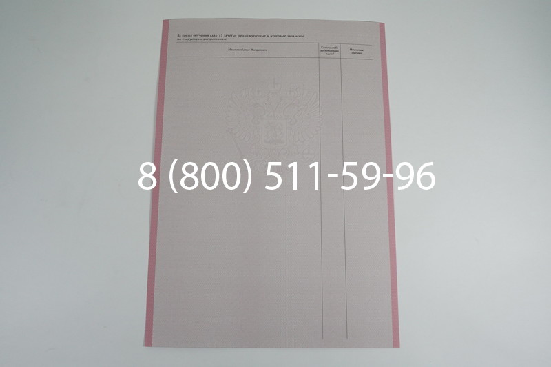 Заказать Академическая справка образца 1996-2009 год для колледжа в Уфе