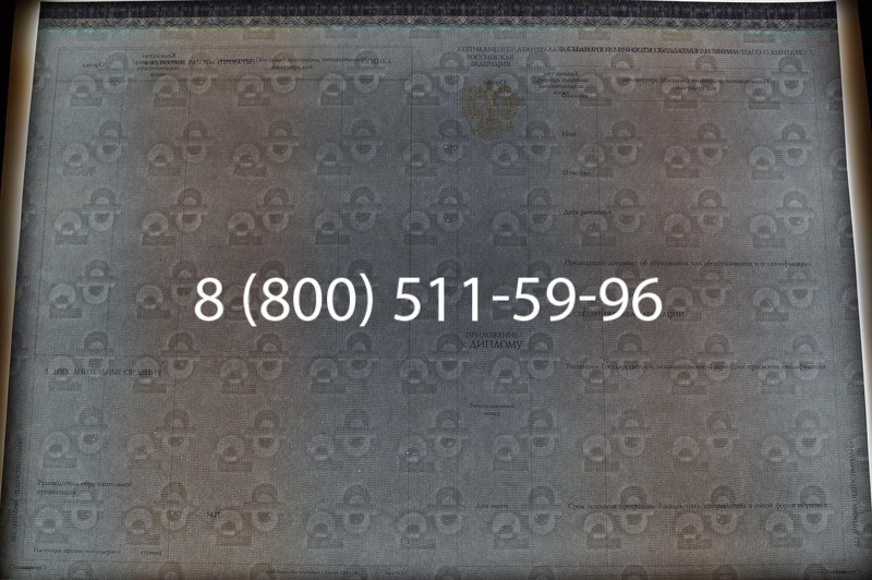 Заказать Диплом бакалавра (Киржач) 2014-2026 года в Уфе