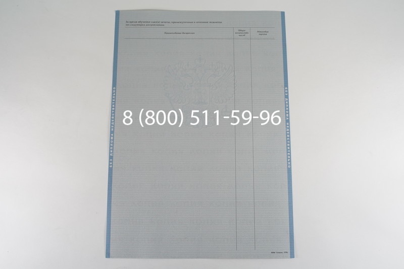 Диплом бакалавра 2003-2009 годов в Уфе