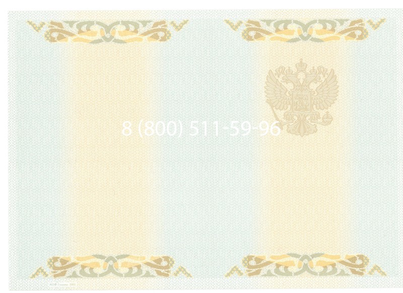 Купить Диплом бакалавра 2003-2009 годов в Уфе