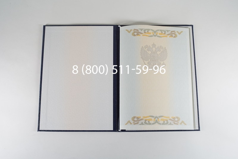 Диплом бакалавра 2003-2009 годов в Уфе