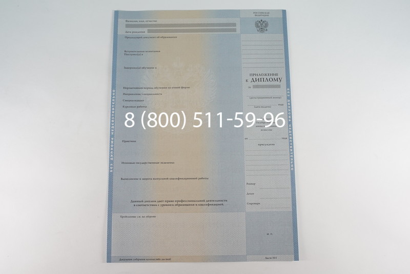 Диплом бакалавра 2003-2009 годов в Уфе