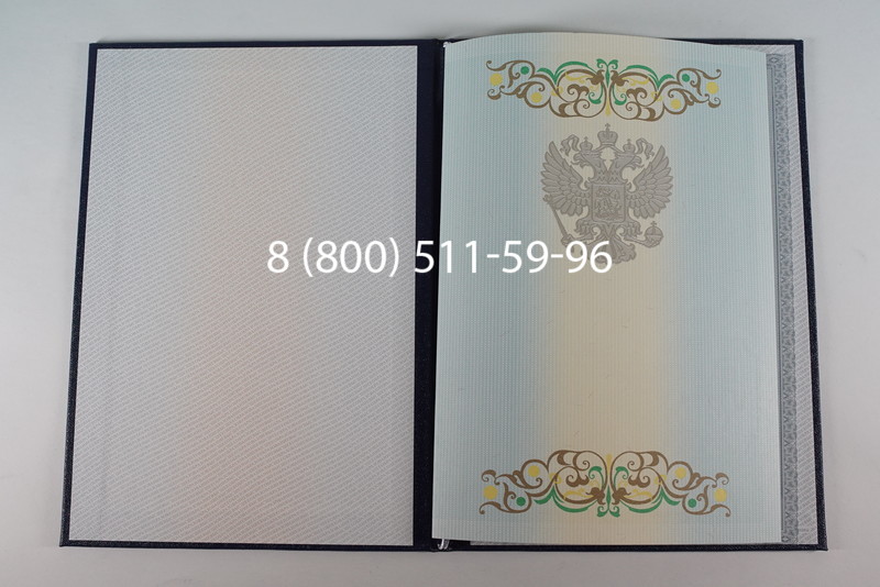 Диплом бакалавра 2012-2013 годов в Уфе