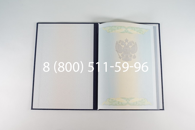 Диплом бакалавра 2010-2011 годов в Уфе