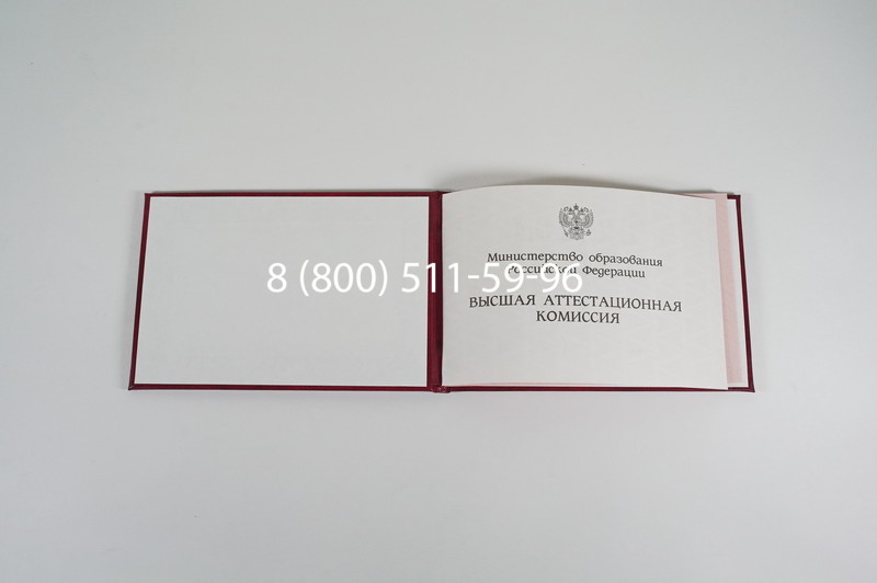 Диплом доктора наук 1995-2006 года в Уфе