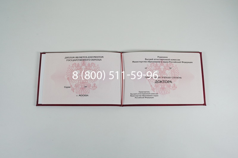 Заказать Диплом доктора наук 2007 в Уфе