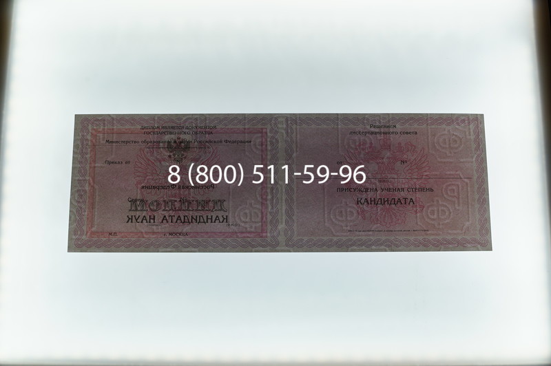 Заказать Диплом кандидата наук 2010 в Уфе