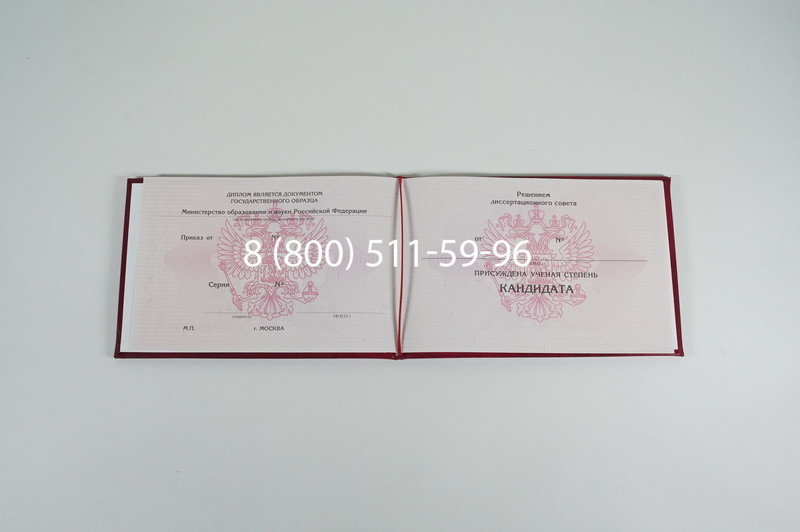 Заказать Диплом кандидата наук 2010 в Уфе