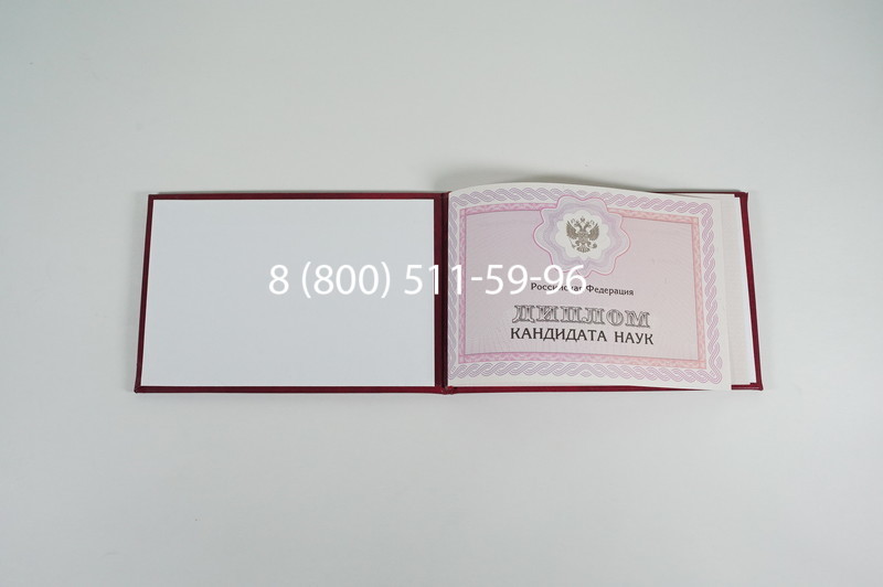 Заказать Диплом кандидата наук 2010 в Уфе