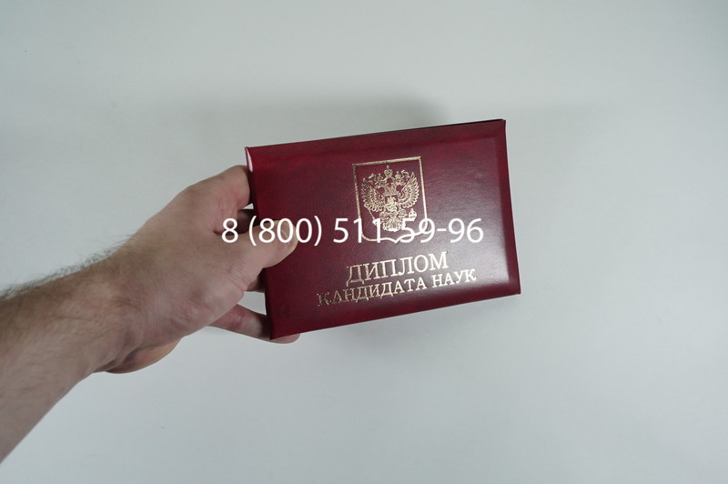 Диплом кандидата наук 2010 в Уфе
