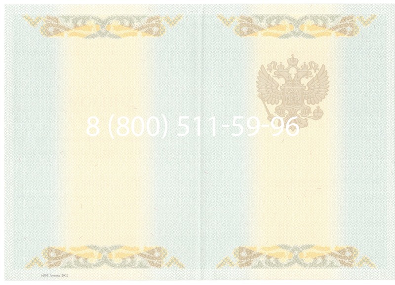 Купить Диплом магистра 2003-2009 годов в Уфе