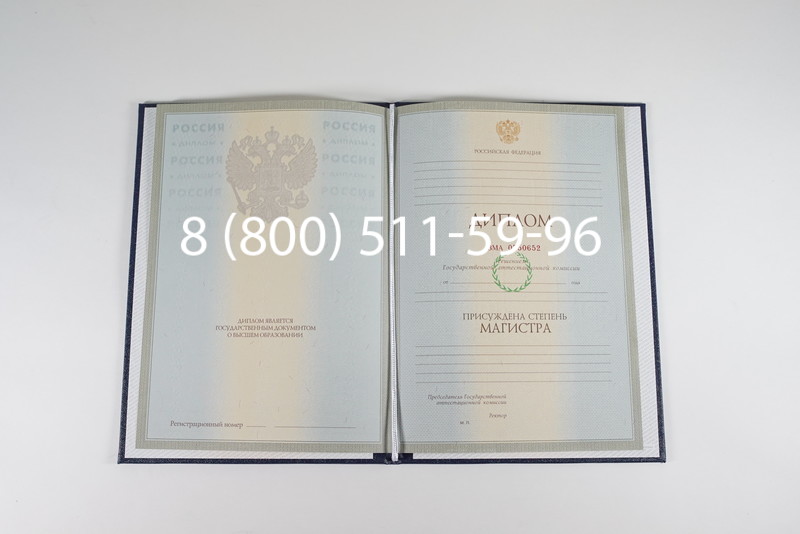 Диплом магистра 2003-2009 годов в Уфе