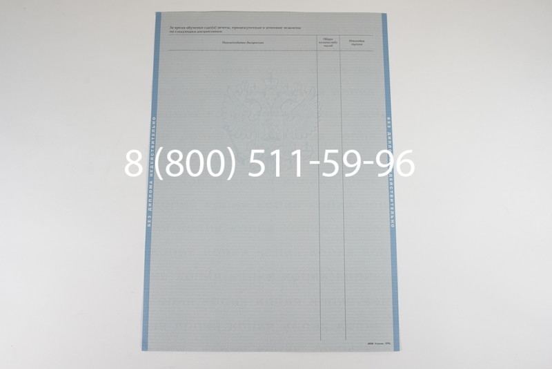 Диплом магистра 2003-2009 годов в Уфе