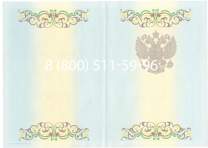 Заказать Диплом магистра 2012-2013 годов в Уфе