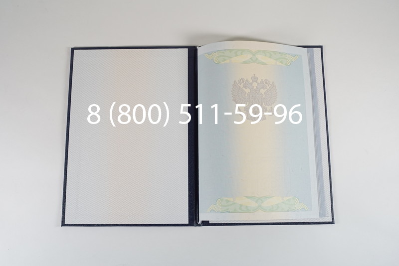 Диплом магистра 2010-2011 годов в Уфе