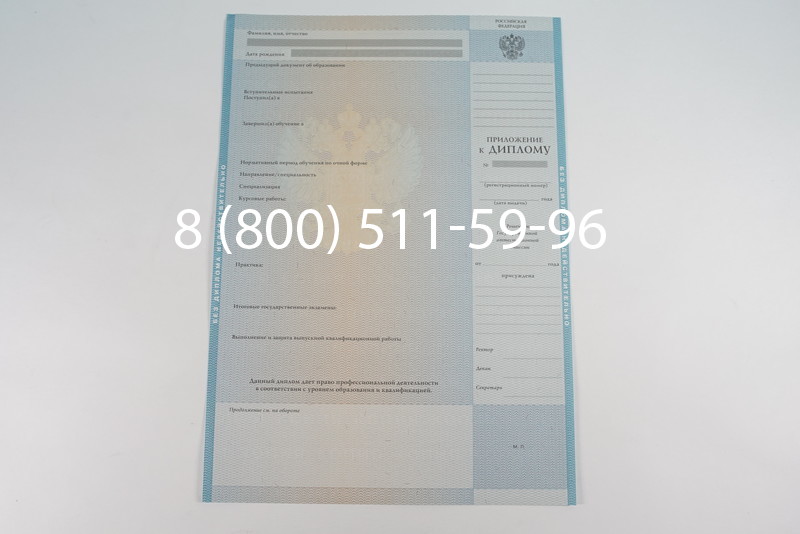 Диплом магистра 2010-2011 годов в Уфе