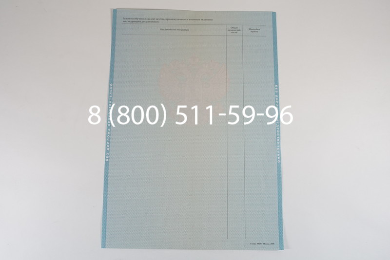 Диплом магистра 2010-2011 годов в Уфе