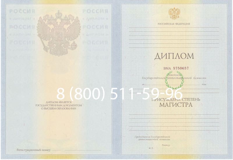 Купить Диплом магистра 2010-2011 годов в Уфе