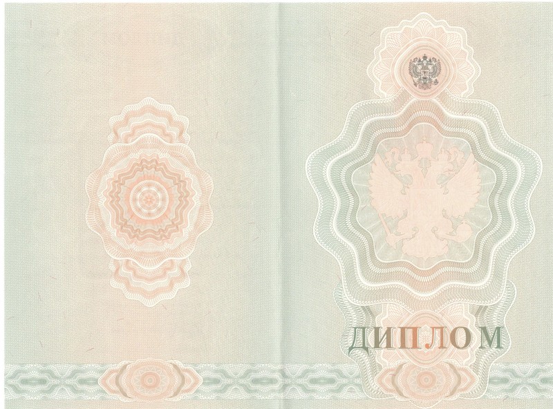 Купить Диплом о начальном образовании  2007-2009 годов в Уфе