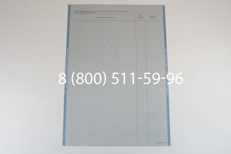 Диплом о высшем образовании 2003-2009 годов в Уфе