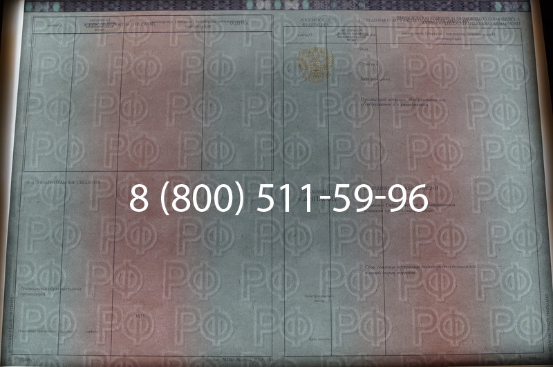 Заказать Диплом специалиста 2014-2026 года в Уфе