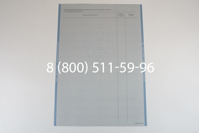 Диплом специалиста 2003-2009 годов в Уфе