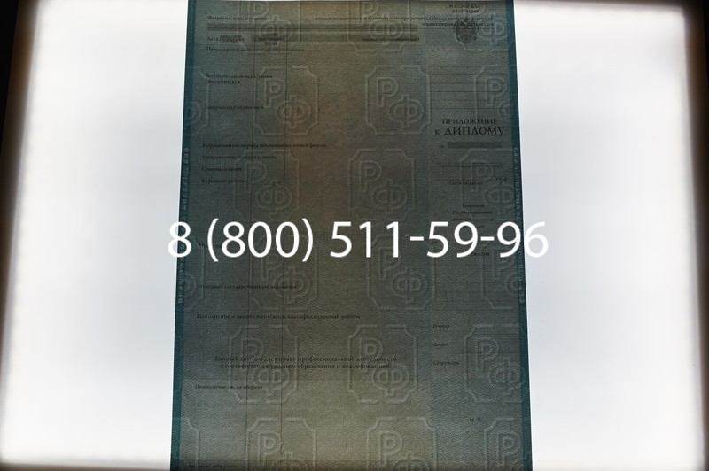 Заказать Диплом специалиста 2010-2011 годов в Уфе