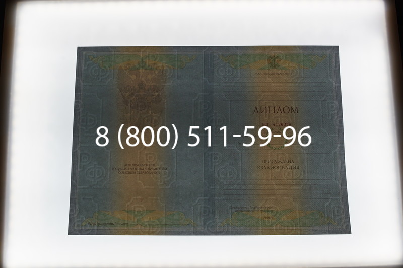 Заказать Диплом специалиста 2010-2011 годов в Уфе