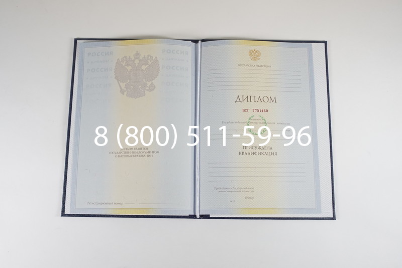 Диплом специалиста 2010-2011 годов в Уфе