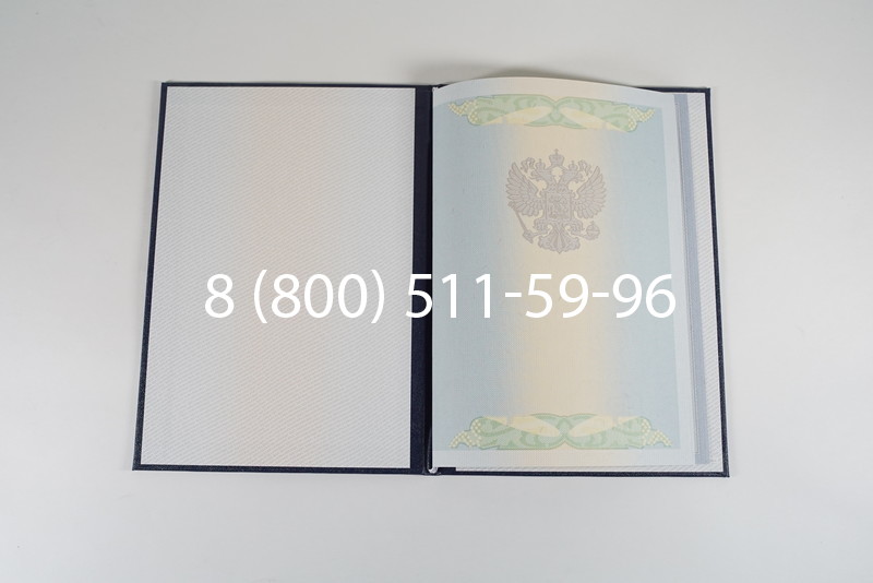 Диплом специалиста 2010-2011 годов в Уфе