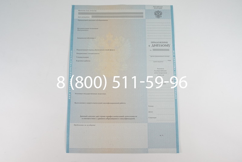 Диплом специалиста 2010-2011 годов в Уфе