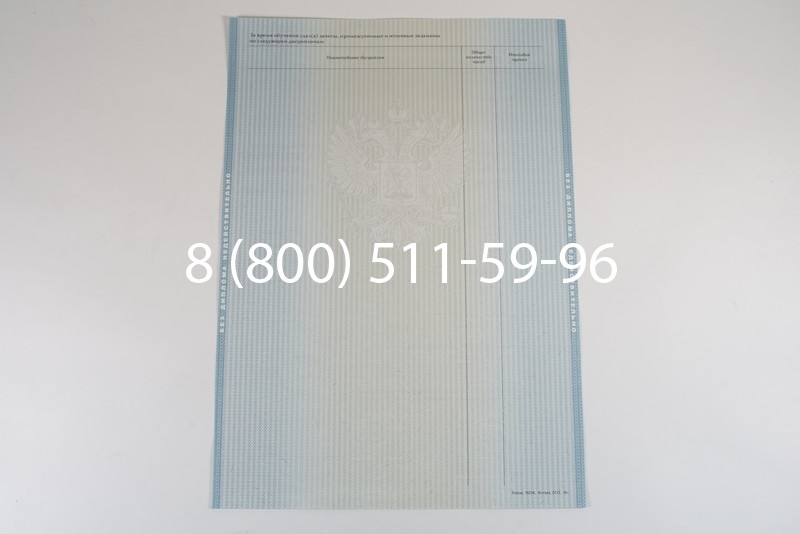 Диплом специалиста 2012-2013 годов в Уфе