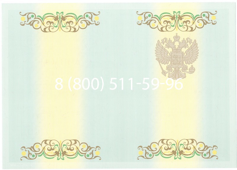 Купить Диплом специалиста 2012-2013 годов в Уфе