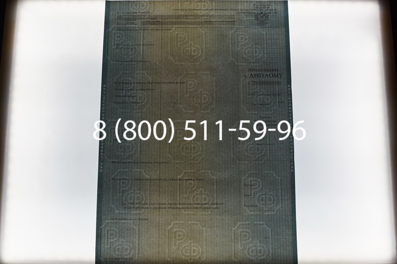 Заказать Диплом специалиста 2012-2013 годов в Уфе