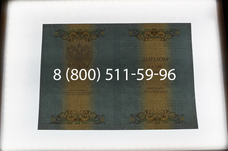 Заказать Диплом специалиста 2012-2013 годов в Уфе