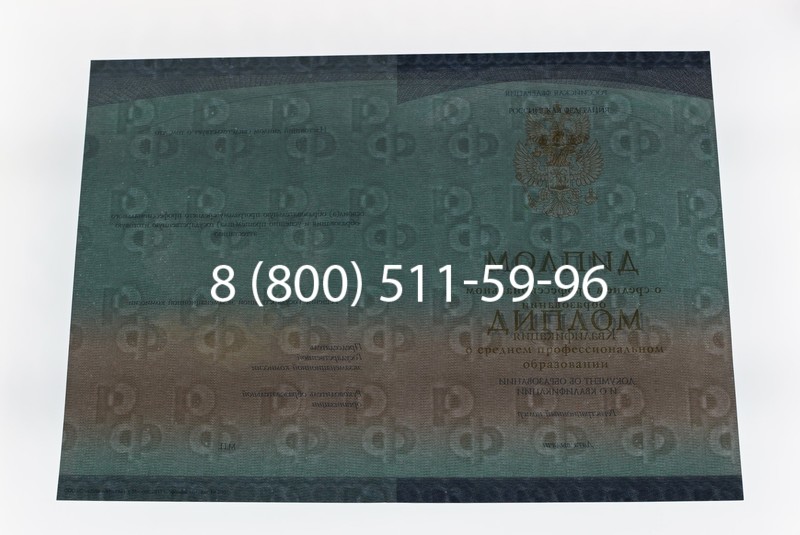 Диплом техникума (Спецбланк) 2014-2026 года в Уфе