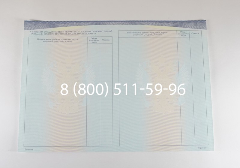 Диплом техникума (Спецбланк) 2014-2026 года в Уфе