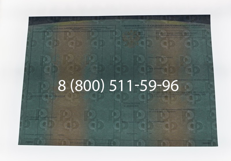 Диплом техникума (Спецбланк) 2014-2026 года в Уфе