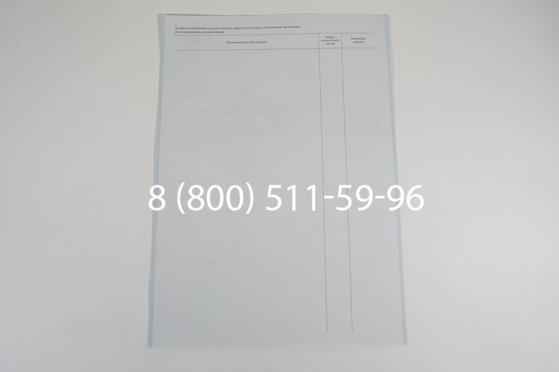 Диплом училища 2007-2009 годов в Уфе