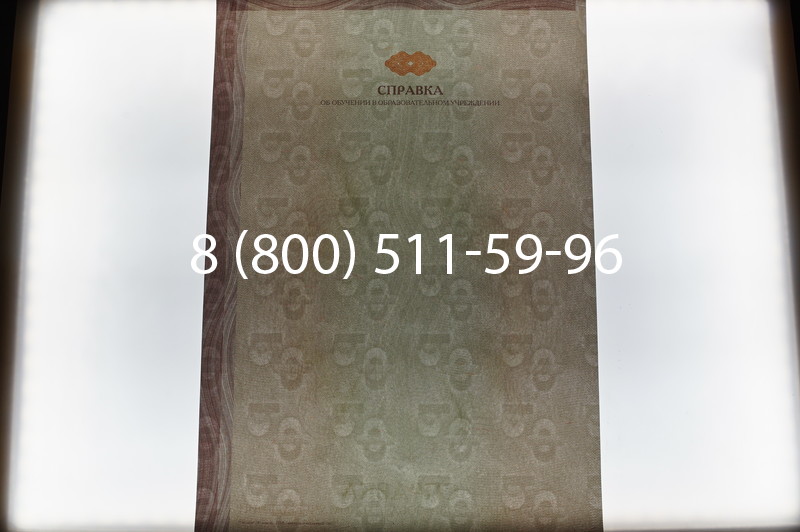 Купить Справка об обучении в Уфе