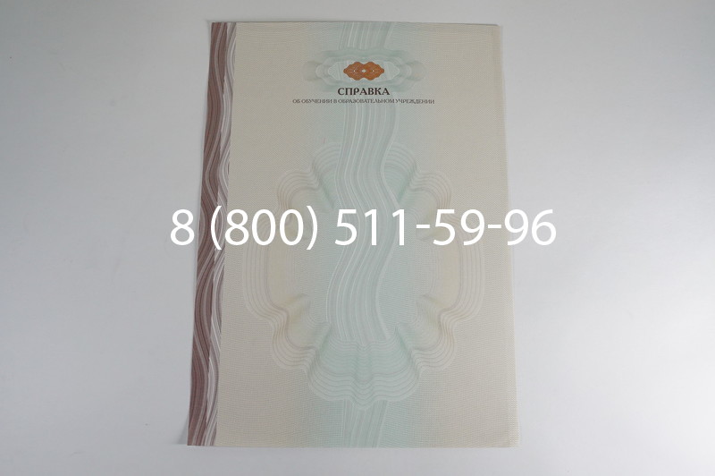 Заказать Справка об обучении в Уфе